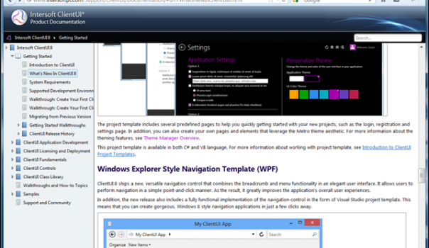 ClientUI Online Documentation